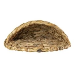 Eco Haven Store 17 Eco Haven Store -Eco Haven Store GUEST 0240d420 3ad4 4dd7 a5d6 3e6a5f6ecbb4