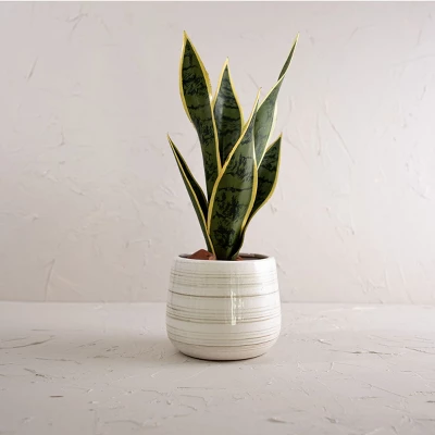 White Swirl Stoneware Planter - Foreside Home & Garden 3 White Swirl Stoneware Planter - Foreside Home & Garden