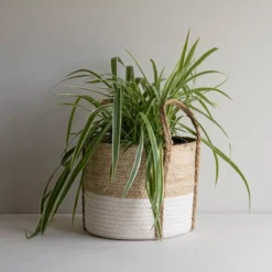 Natural Woven White Seagrass & Rope Basket - Foreside Home & Garden 15 Natural Woven White Seagrass & Rope Basket - Foreside Home & Garden -Eco Haven Store GUEST 0b8366d4 5025 4237 bb35 6ad4f5abee7d