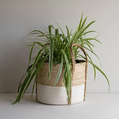 Natural Woven White Seagrass & Rope Basket - Foreside Home & Garden 9 Natural Woven White Seagrass & Rope Basket - Foreside Home & Garden - Image 7