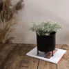 Footed Planter Black Metal - Foreside Home & Garden