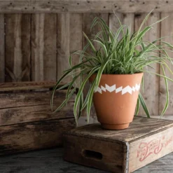 Multi Terracotta Planter - Foreside Home & Garden 13 Multi Terracotta Planter - Foreside Home & Garden -Eco Haven Store GUEST 1d4074d7 e6ca 40fb 9460 3748713b7c38