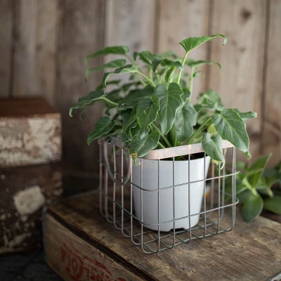 Patina Metal Basket - Foreside Home & Garden 10 Patina Metal Basket - Foreside Home & Garden - Image 8