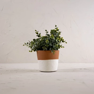 Terracotta Bottom Dipped Terracotta Planter - Foreside Home & Garden 3 Terracotta Bottom Dipped Terracotta Planter - Foreside Home & Garden