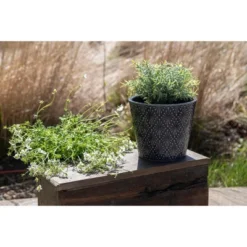 Blue Diamond Burst Pattern Glazed Ceramic Planter - Foreside Home & Garden 8 Blue Diamond Burst Pattern Glazed Ceramic Planter - Foreside Home & Garden -Eco Haven Store GUEST 3b81637e 845b 4769 93f0 bbfd7b21e1df