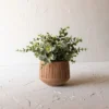 Routed Stripe Terracotta Planter By Foreside Home & Garden