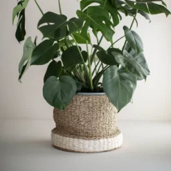 White Rope & Seagrass Basket - Foreside Home & Garden 9 White Rope & Seagrass Basket - Foreside Home & Garden -Eco Haven Store GUEST 53816324 09cf 46e1 84c5 cd41432c8d09