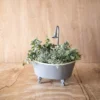 Antique Bathtub Planter Gray Metal - Foreside Home & Garden -Eco Haven Store GUEST 55c2ba0f c1c6 4cc7 90f2 bbe78eef1067