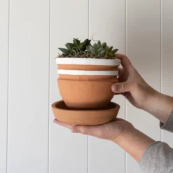 6 Inch Planter Saucer Terracotta By Foreside Home & Garden