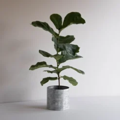 White Metal Planter - Foreside Home & Garden 11 White Metal Planter - Foreside Home & Garden -Eco Haven Store GUEST 6336c2b1 cf98 445f 8c0d 2624d5362095