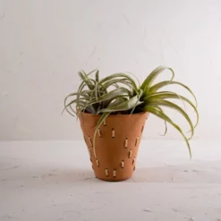 Diamond Weave Terracotta & Cane Planter - Foreside Home & Garden