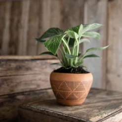 Terracotta Terracotta Planter - Foreside Home & Garden -Eco Haven Store GUEST 867b79f8 7b98 4830 872d e12f98f12ca6