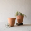 Set Of 2 Small Terracotta Planters - Foreside Home & Garden 2 Set Of 2 Small Terracotta Planters - Foreside Home & Garden -Eco Haven Store GUEST 9330a2e7 a798 41d0 a5dc 7fb13881d93b