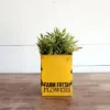 Distressed Yellow "Farm Fresh" Decorative Metal Planter Storage Tin - Foreside Home & Garden -Eco Haven Store GUEST 9dbdbb4d aff5 4589 945d 67084e2c5cb1