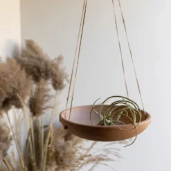 Shallow Dish Terracotta & Jute Hanging Planter By Foreside Home & Garden