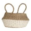 White Rope & Seagrass Belly Basket - Foreside Home & Garden -Eco Haven Store GUEST b0deb179 ea88 4d2f b389 efa32ed52278