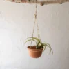 Wide Terracotta & Jute Hanging Planter - Foreside Home & Garden -Eco Haven Store GUEST b3237e55 4dcb 4083 8cdf 561ebd0405c8