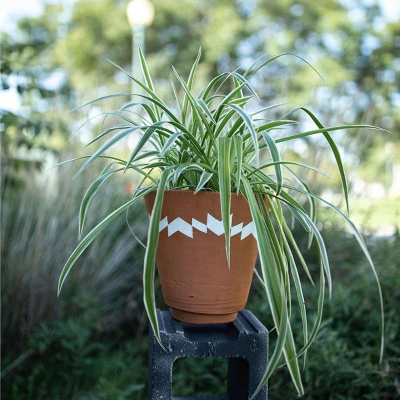 Multi Terracotta Planter - Foreside Home & Garden 8 Multi Terracotta Planter - Foreside Home & Garden - Image 6