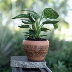 Terracotta Terracotta Planter - Foreside Home & Garden -Eco Haven Store GUEST dd7f5a39 850a 4cc1 9392 49c57c930a19