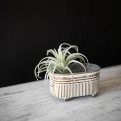 Trough Brass Metal Mini Planter - Foreside Home & Garden -Eco Haven Store GUEST dea603e1 5024 49f4 8f59 640869914f94