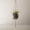 Round Hanging Pot Green Metal & Rope - Foreside Home & Garden 1 Round Hanging Pot Green Metal & Rope - Foreside Home & Garden -Eco Haven Store GUEST dfbab4b1 38c1 4fb2 97a7 e05d59fcc740