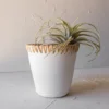 White Planter Terracotta With Woven Cane By Foreside Home & Garden -Eco Haven Store GUEST f1f33a65 9966 4ba4 bc73 c18402021012